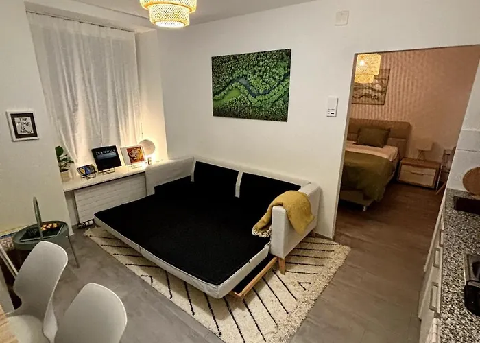 Top Apartment In Center Of Zurich