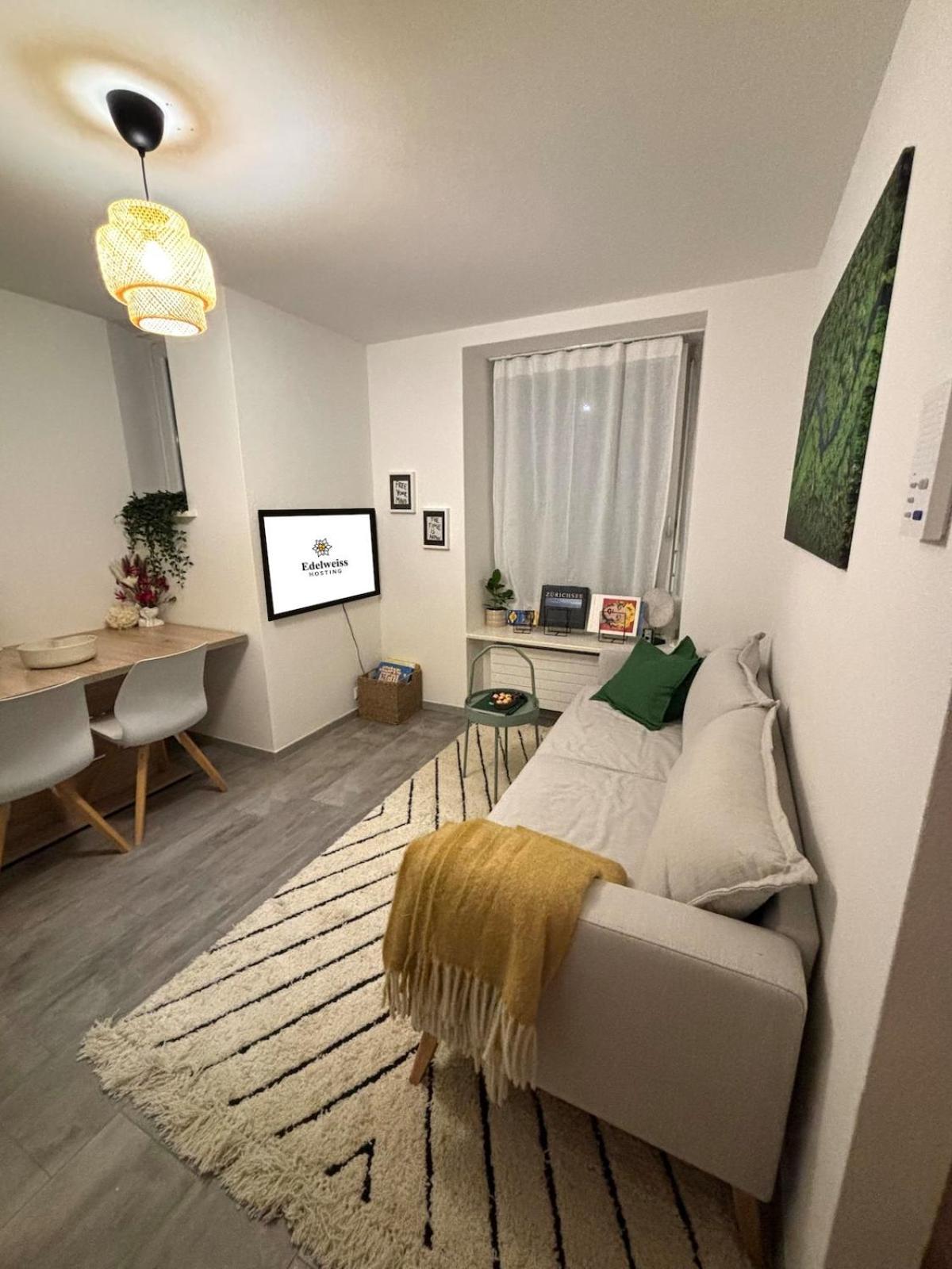 In Center Of Apartment Zürich